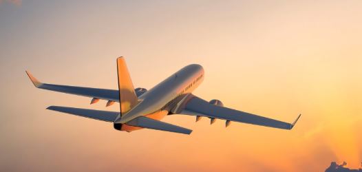 बीसीएएस ने सात एयरलाइनों को 30 मिनट के भीतर यात्रियों के बैग की डिलीवरी करने के दिए निर्देश