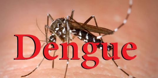 स्वास्थ्य विभाग ने डेंगू व चिकनगुनिया के मरीजों को देखते हुए गाइडलाइन की जारी