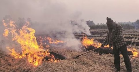 खेतों में फसल कटाई के बाद अवशेषों को जलाने पर लगी रोक, मुख्यमंत्री धामी ने दिए ये निर्देश 