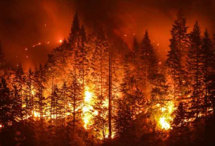 उत्तराखंड में जंगल की आग होने लगी बेकाबू, चारों तरफ धुआं फैलने से परेशानी में लोग 
