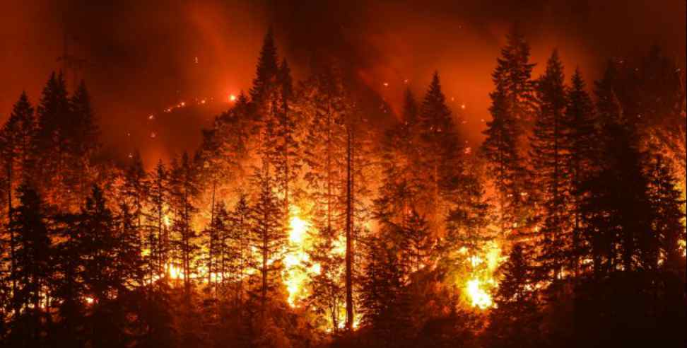 उत्तराखंड में जंगल की आग होने लगी बेकाबू, चारों तरफ धुआं फैलने से परेशानी में लोग 
