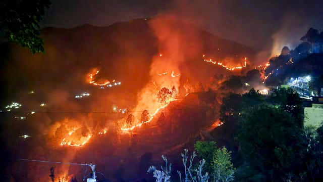जंगलों में आग, तबाही के बाद ही होते हैं बचाव और सुरक्षा को लेकर सचेत