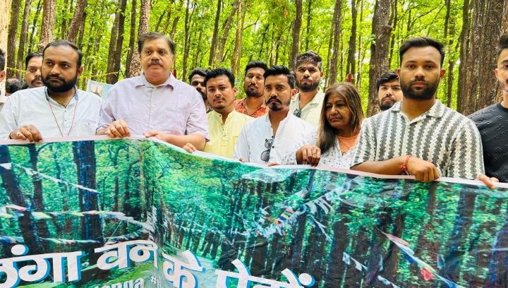 खलंगा क्षेत्र में नौ हजार बेशकीमती पेड़ों की बलि देने पर जताया पुरजोर विरोध